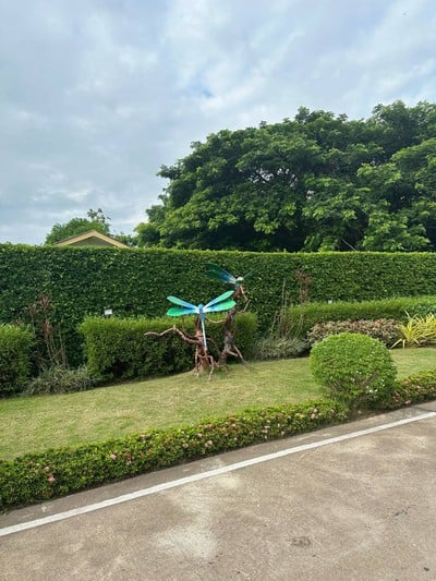 โรงแรมบ้านแมลงปอ