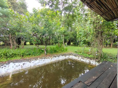 บริเวณโดยรอบ