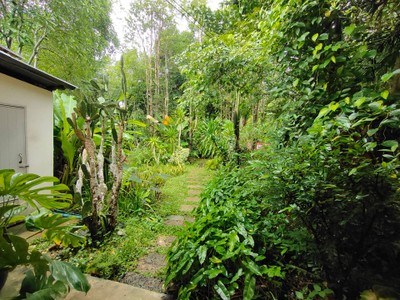 บริเวณโดยรอบ