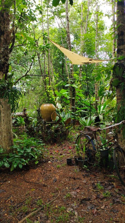 บริเวณโดยรอบ