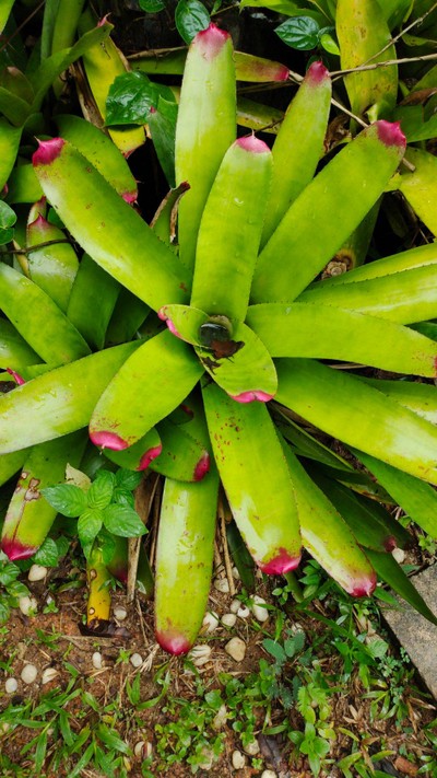 บริเวณโดยรอบ