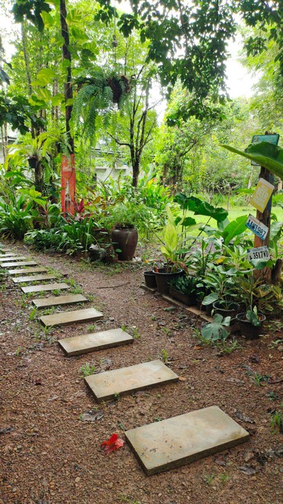 บริเวณโดยรอบ