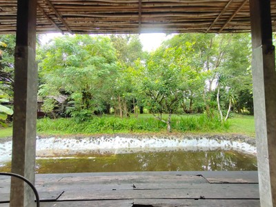 วิวนอกห้อง