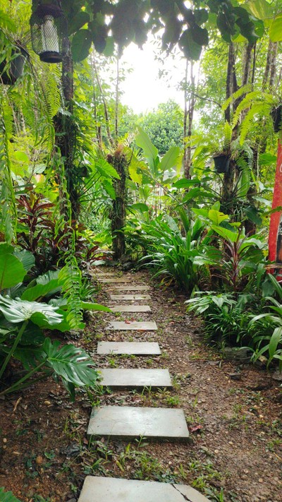 บริเวณโดยรอบ