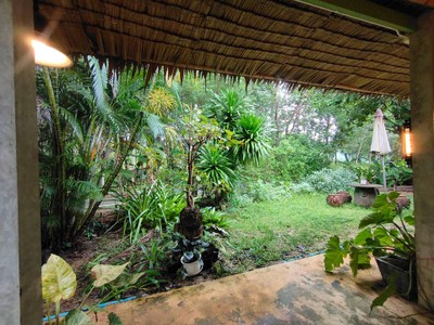 วิวนอกห้อง