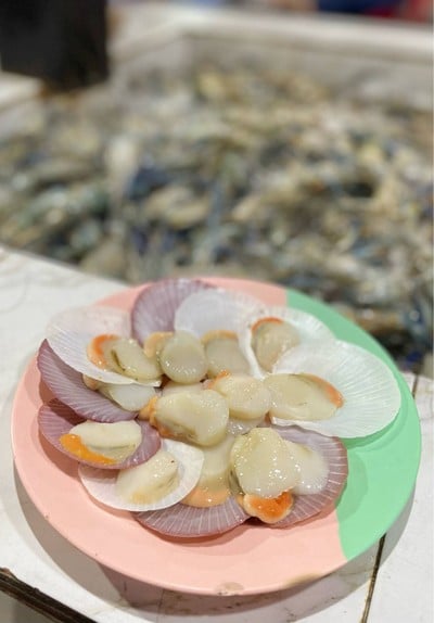 🐚 หอยเชลล์.