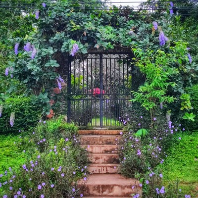 หน้าร้าน