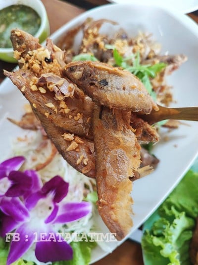 ปลาเนื้ออ่อนทอดกระเทียม