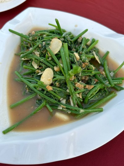 ผัดยอดมะระน้ำมันหอย