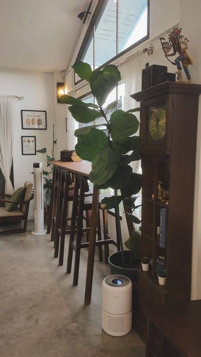 บรรยากาศ