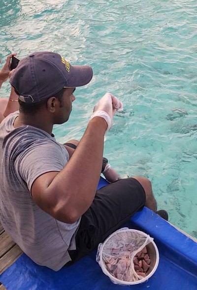 ถึงเวลาให้อาหารปลาฉลาม เจ้าหน้าที่มาเรียกลูกค้าที่เข้าพักมาดูกันเลย