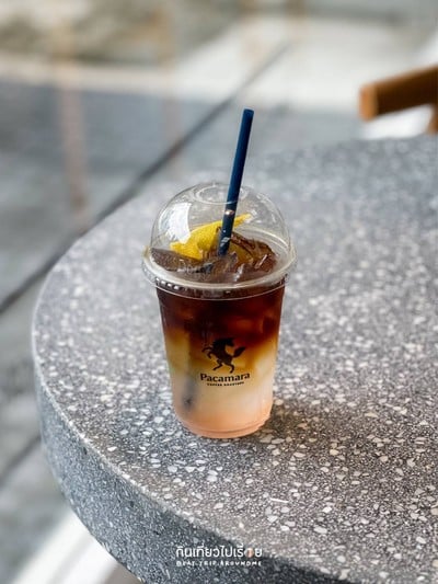 เมนูของร้าน PACAMARA Thonglor 25