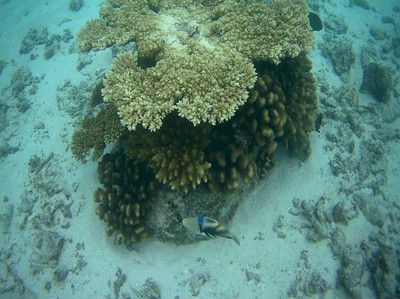 ธรรมชาติที่อยู่ใกล้ๆห้องเรา 