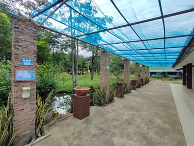 บรรยากาศ น้ำพุร้อนสมอทอง