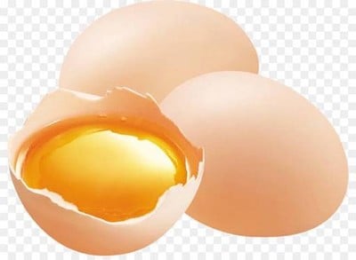 MENU_2493735Vw_1696314180