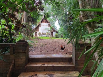 วัดดอนสัก