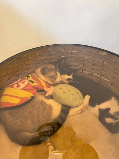 อื่นๆ