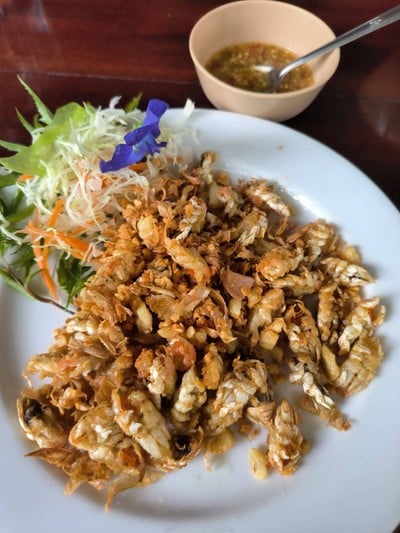 จั๊กจั่นทะเลทอดกระเทียม