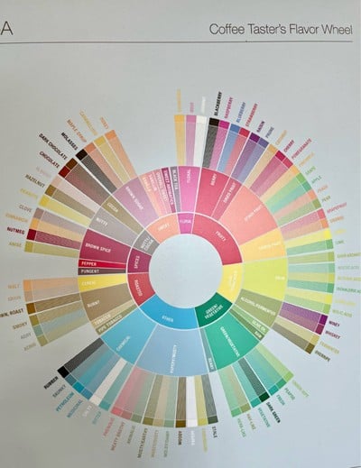 🛞 Coffee Taster’s Flavor Wheel.