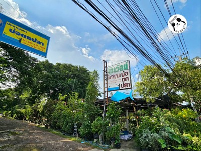 Storefront