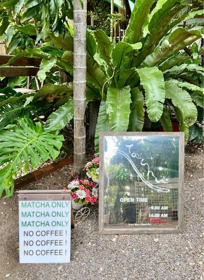 🍵 Matcha Only, No Coffee.