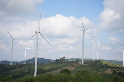 ป่าชุมชน บ้านเล่าลือ เล่าเน้ง ทุ่งกังหันลม เขาค้อ