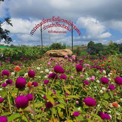 ป่าชุมชน บ้านเล่าลือ เล่าเน้ง ทุ่งกังหันลม เขาค้อ