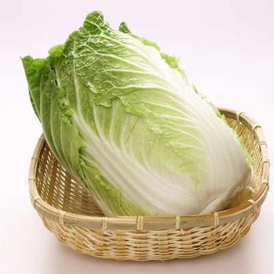 MENU_1413431DQ_1686161210