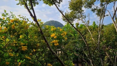 วิวนอกห้อง