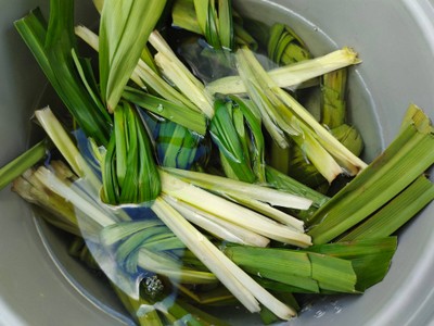 วิธีทำ น้ำใบเตยมะนาว