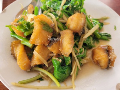 ปลาช่อนทอดผัดคึ่นไฉ้