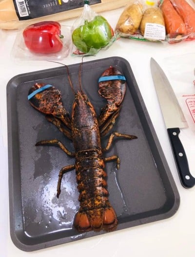 วิธีทำ Canadian Lobster Fettuccine ผักสามสี #Wongnaichef