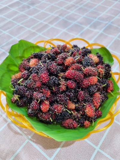 วิธีทำ แยมมัลเบอรี่