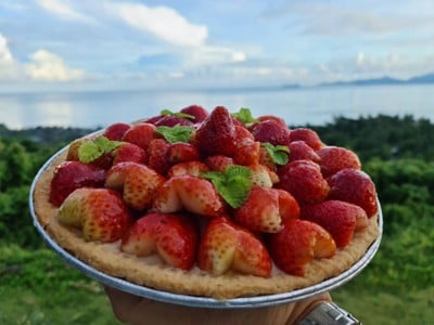 วิธีทำ ทาร์ตวานิลลาพุดดิ้งสตรอเบอร์รี่ #wongnaichef