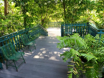 บริเวณโดยรอบ