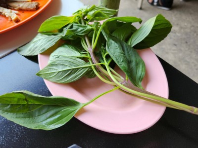 โหระพา
