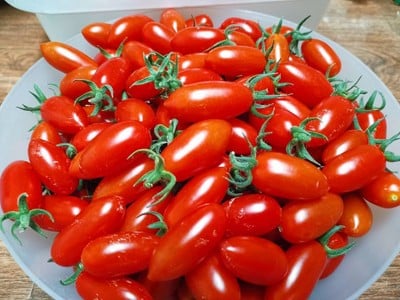 บรรยากาศ สวนปันบุญ