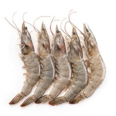 MENU_2555444uo_1702118812