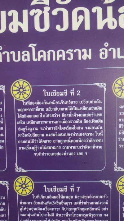 อื่นๆ