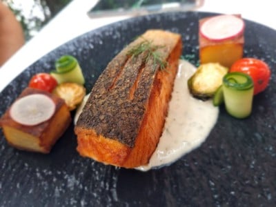 Salmon