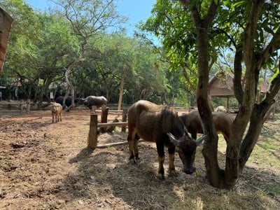 บรรยากาศ