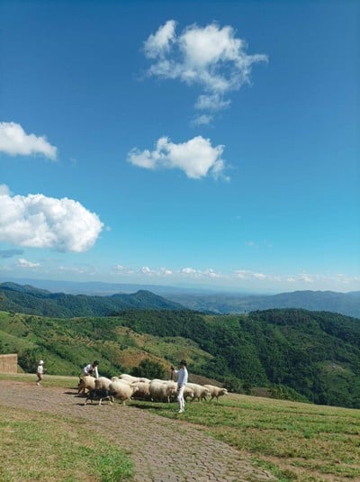 บรรยากาศ