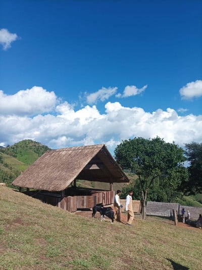 บรรยากาศ