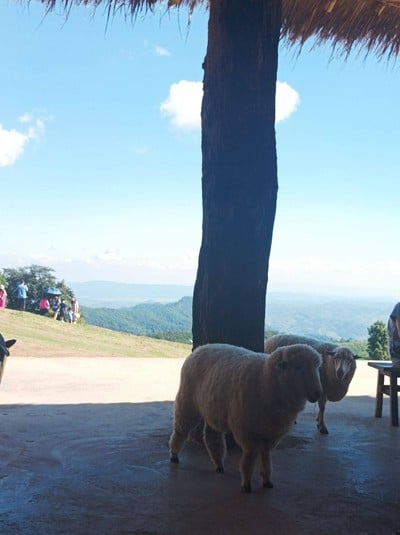 บรรยากาศ