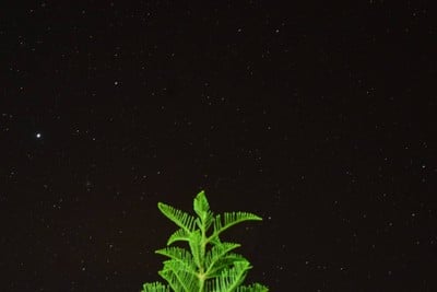 สิ่งอำนวยความสะดวก/กิจกรรม