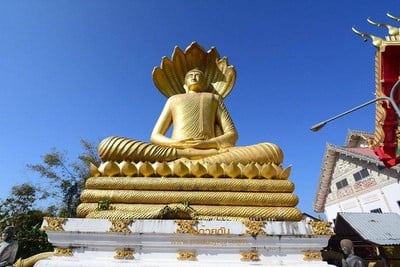บรรยากาศ วัดพระศรีมหาโพธิ์