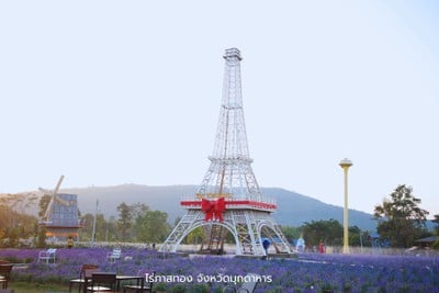 บรรยากาศ ไร่ภาสทอง