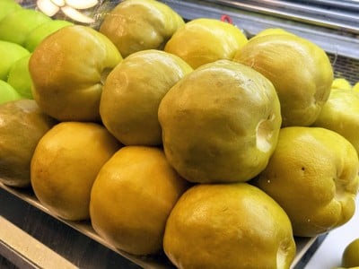 ฝรั่งดอง