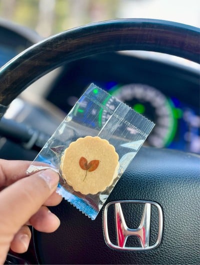 🍪 Soft Cookie. (Free.)