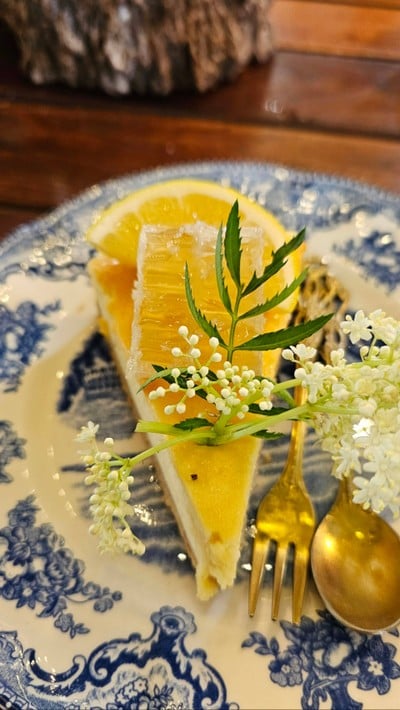 Lemon Honey Cheese Cake